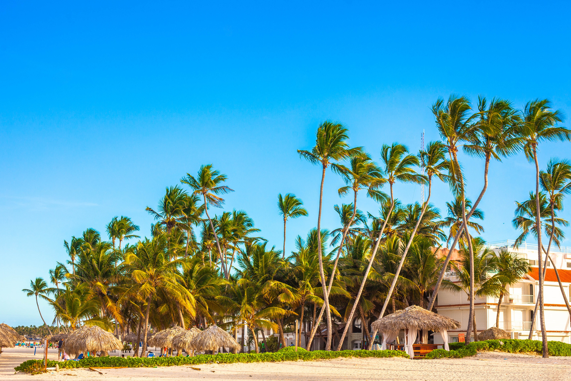 Near Nick The Best Punta Cana Excursions Near Nickelodeon Hotels & Resorts