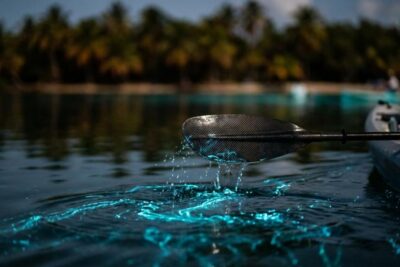 Puerto Rico excursions