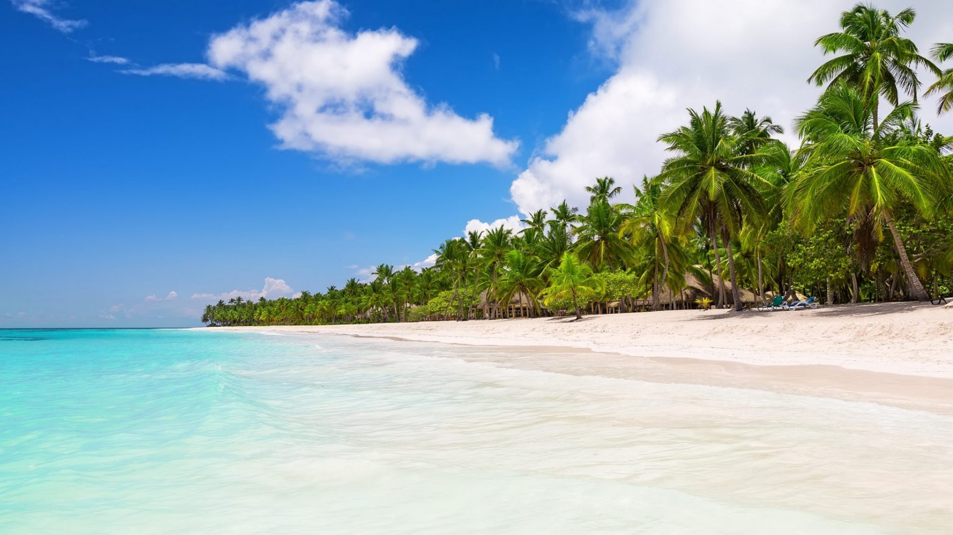 Best Time to Visit Punta Cana: Month-by-Month Guide 2 Saona Island Excursion