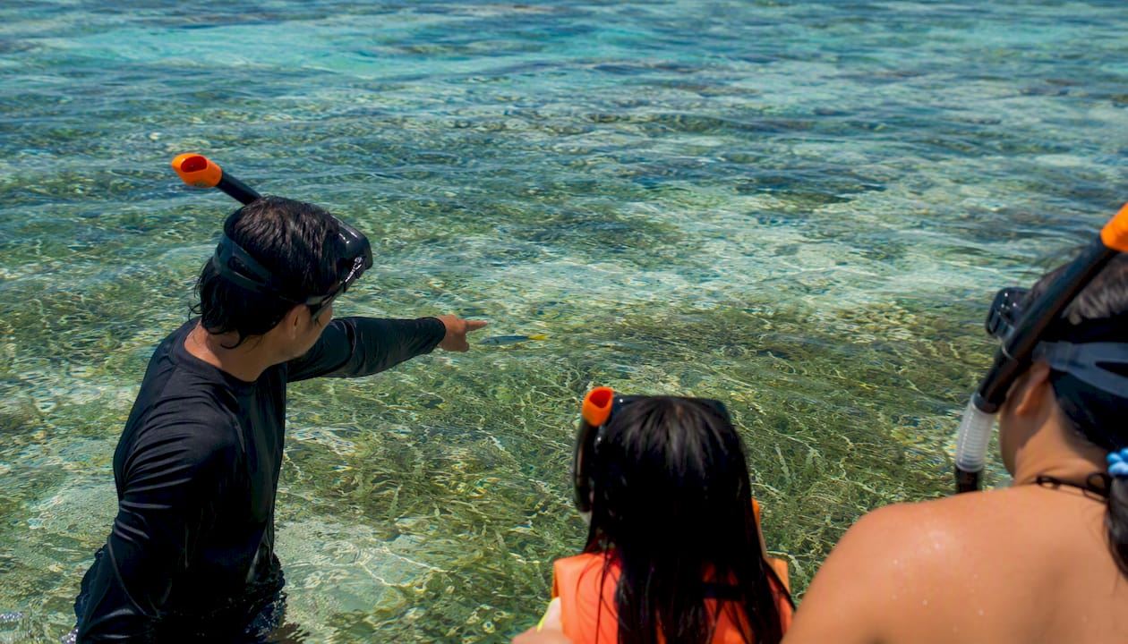 Guide leading snorkeling group among seagrass