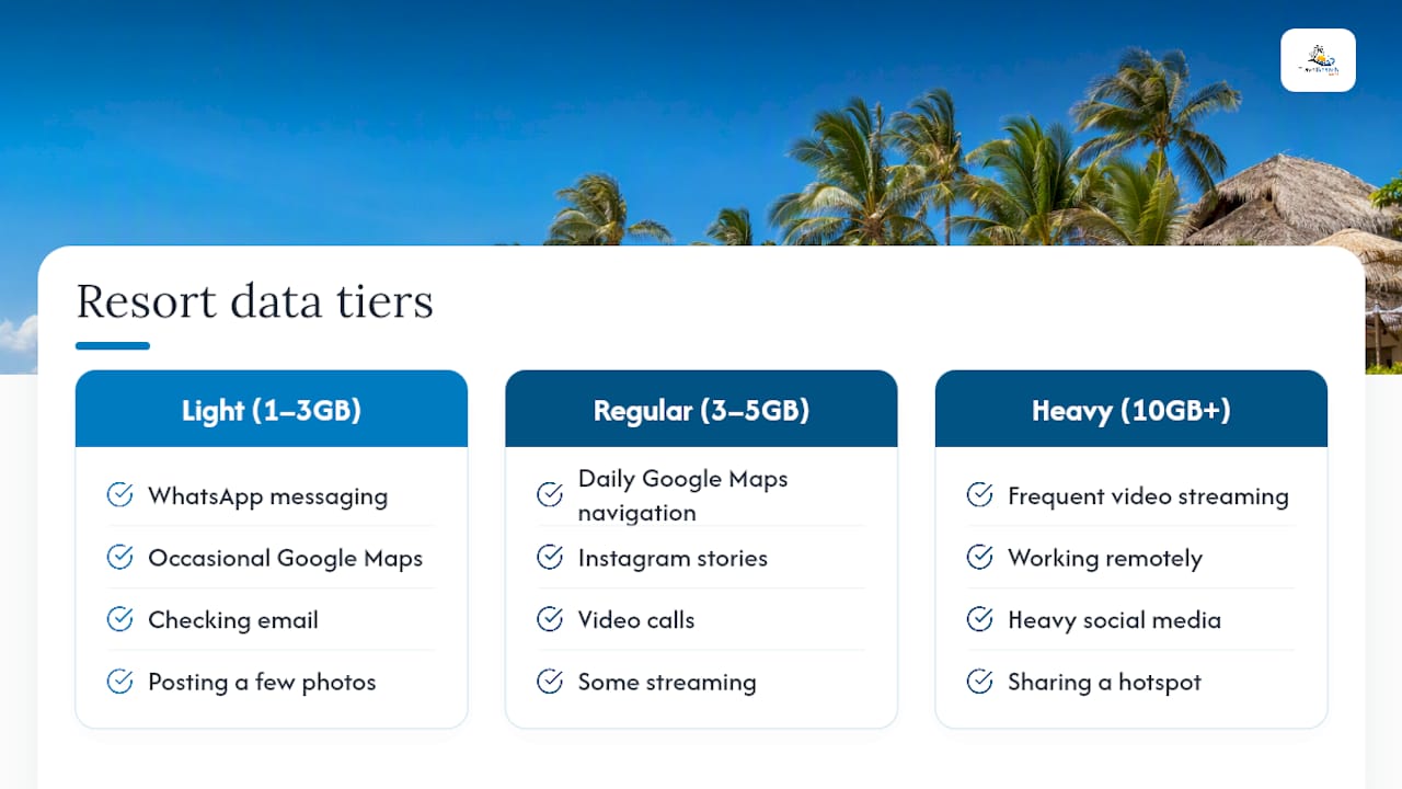 Diagram comparing data usage tiers for travelers