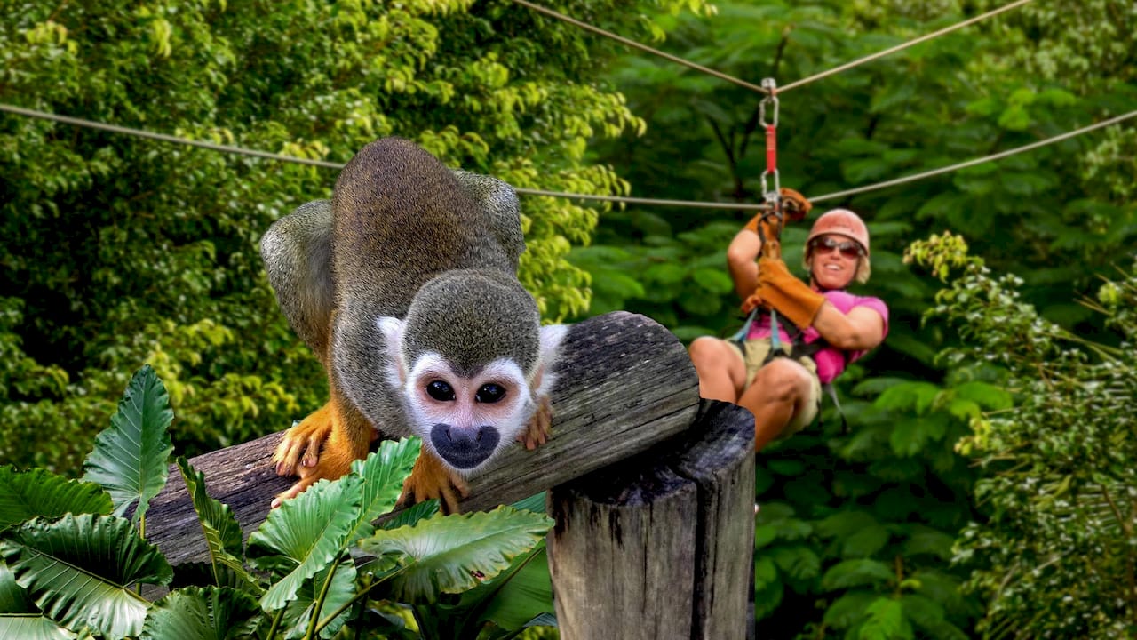 Your Perfect Custom Punta Cana Trip: A Complete Guide 3 MonkeyLand and Zip Line Adventure in Punta Cana